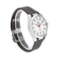Omega Seamaster Aqua Terra Co-Axial Master Chronometer 220.12.41.21.02.002 Pro Clone 1:1