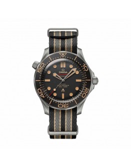 Omega Seamaster Co-Axial Master Steel 210.92.42.20.01.001 Replica