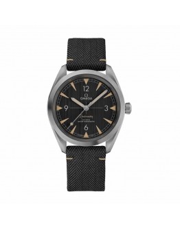 Omega Railmaster Co-Axial Master Chronometer Black Dial 220.12.40.20.01.001 Detailed Replica