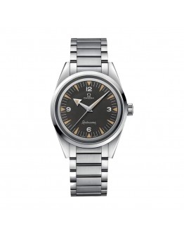 Omega Seamaster Railmaster Steel 220.10.38.20.01.002 Masterpiece Replica