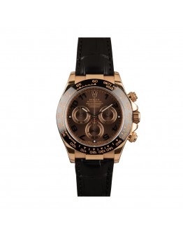 Rolex Cosmograph Daytona 116515LNBR Precision Clone