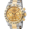 Rolex Daytona 116503CDO 40MM Champagne Dial Silver-tone Case