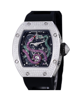 Richard Mille RM 026 Unisex Automatic Stainless Steel Rubber Band Transparent Dial